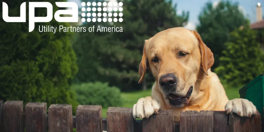 Illustration from UPA’s Dogs on Customer Property: Keeping Technicians Safe article